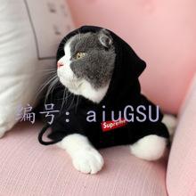 ǰ