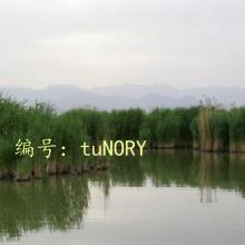 ȫ