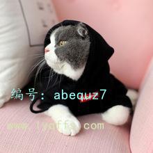 벻