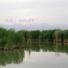 α